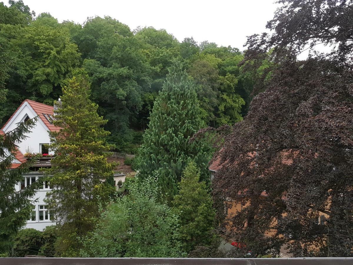 Hotel - Restaurant Sophienaue Eisenach Zewnętrze zdjęcie