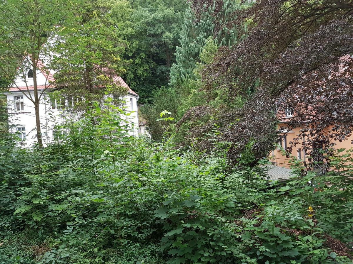 Hotel - Restaurant Sophienaue Eisenach Zewnętrze zdjęcie